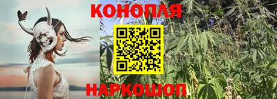 СК Можга