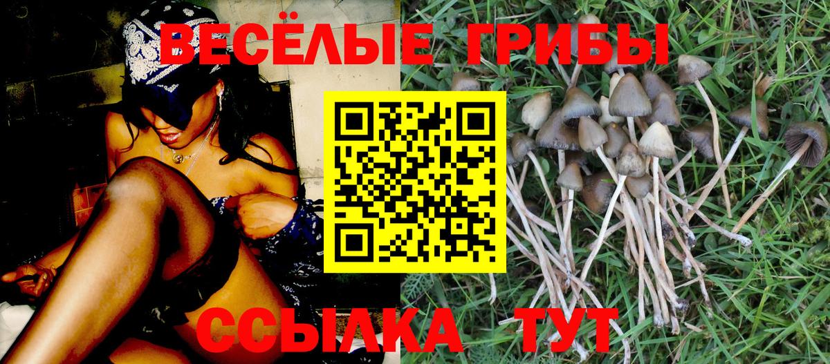 Галлюциногенные грибы ЛСД  Псилоцибиновые грибы GOLDEN TEACHER  Вход с VPN  Прохладный 